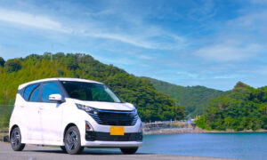 湖のそばに停めた白い軽自動車